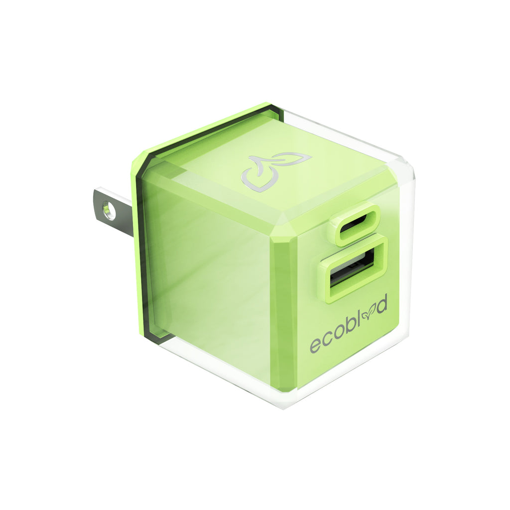 PowerPlant Dual-Port Wall Charger