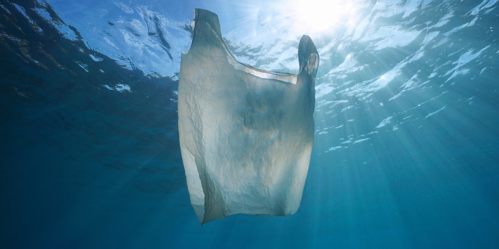 The Hidden Costs Of Single Use Plastic - A Lone Plastic Bag Floats In Clear Waters