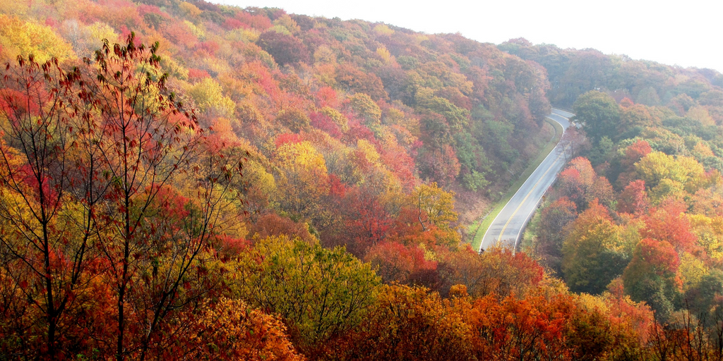 A winding road disappears into the distance, framed by trees whose leaves are vivid fall colors, including shades of red, brown, and yellow