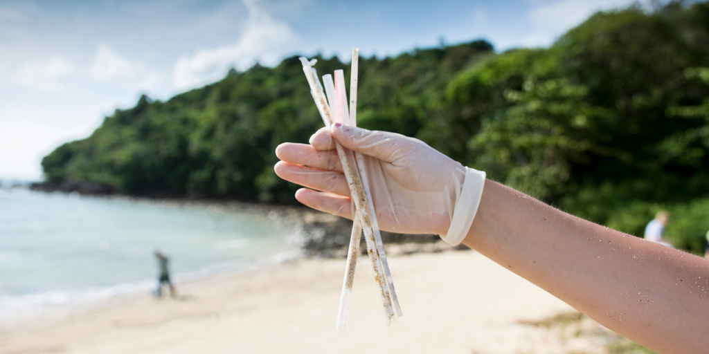 A handful of plastic straws picked up on a beach during a clean up