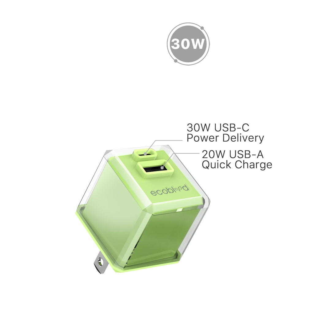 PowerPlant Dual-Port Wall Charger - 30W Total Output From Dual Ports